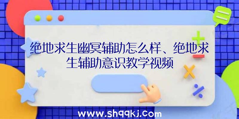 绝地求生幽冥辅助怎么样、绝地求生辅助意识教学视频