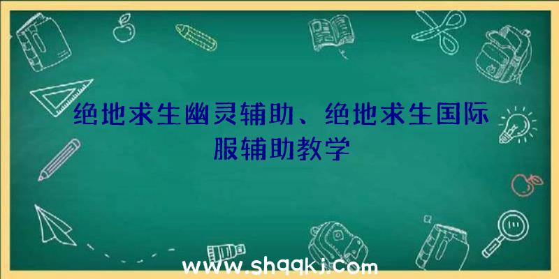 绝地求生幽灵辅助、绝地求生国际服辅助教学