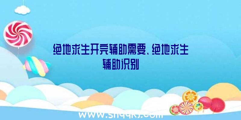 绝地求生开完辅助需要、绝地求生辅助识别