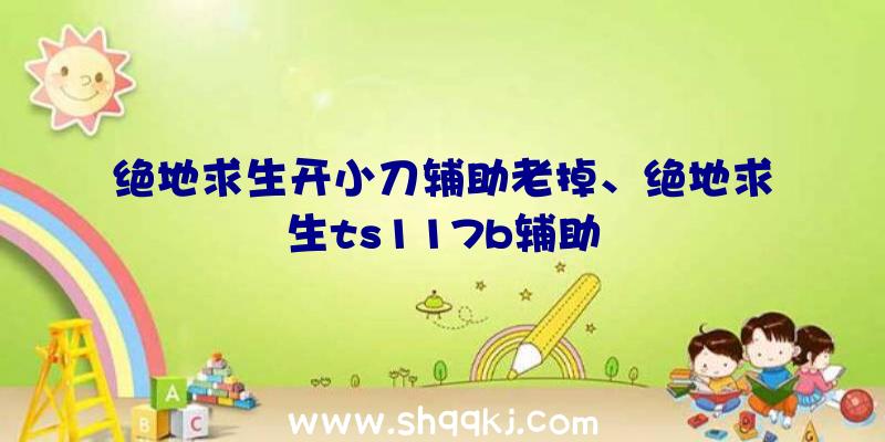 绝地求生开小刀辅助老掉、绝地求生ts117b辅助