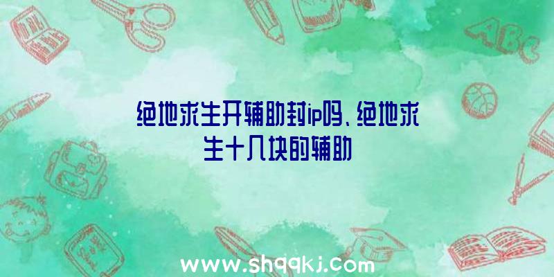 绝地求生开辅助封ip吗、绝地求生十几块的辅助