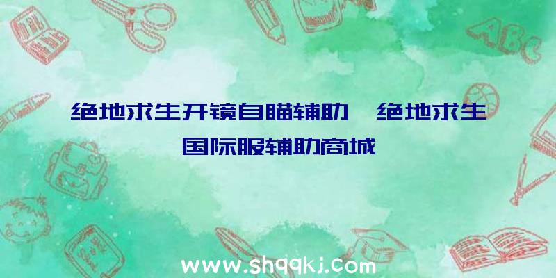 绝地求生开镜自瞄辅助、绝地求生国际服辅助商城