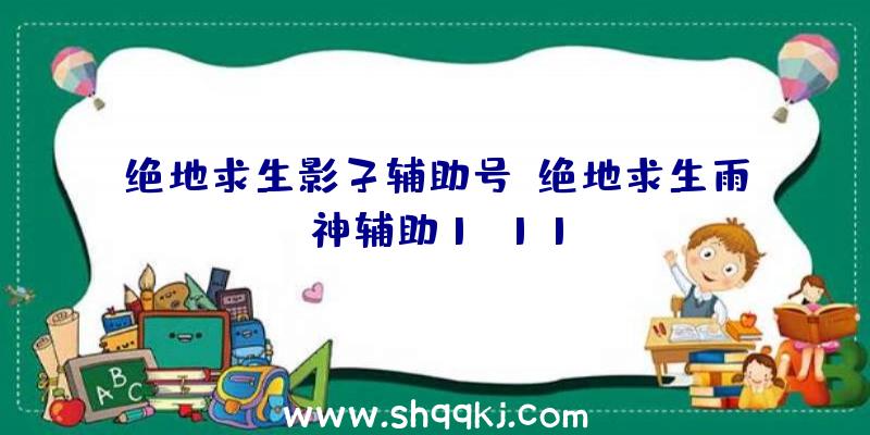 绝地求生影子辅助号、绝地求生雨神辅助1.11