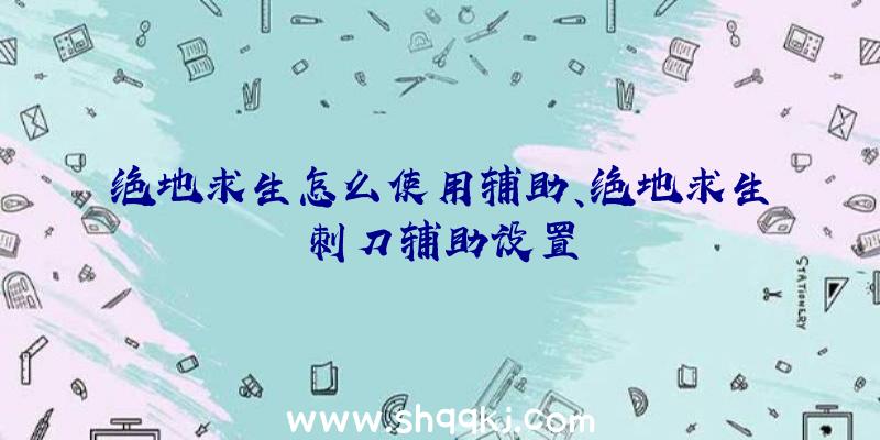 绝地求生怎么使用辅助、绝地求生刺刀辅助设置