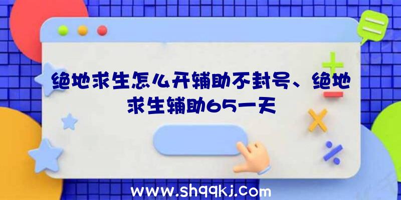 绝地求生怎么开辅助不封号、绝地求生辅助65一天