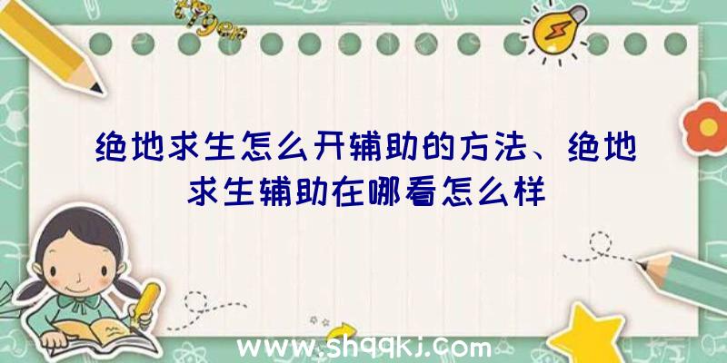 绝地求生怎么开辅助的方法、绝地求生辅助在哪看怎么样