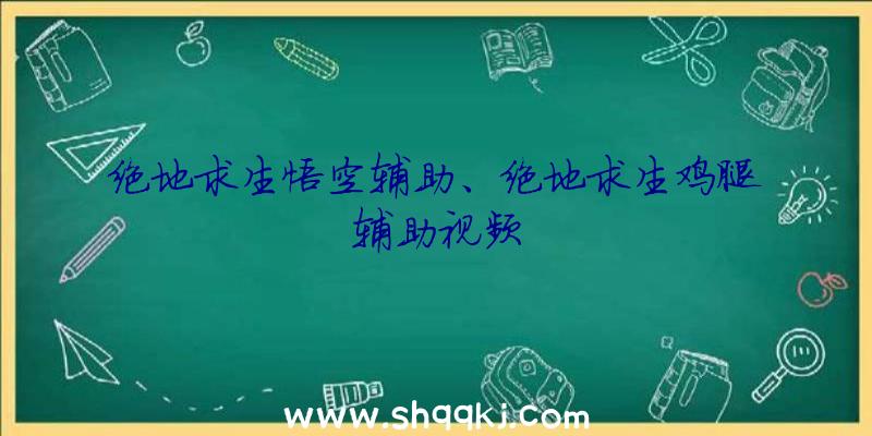 绝地求生悟空辅助、绝地求生鸡腿辅助视频