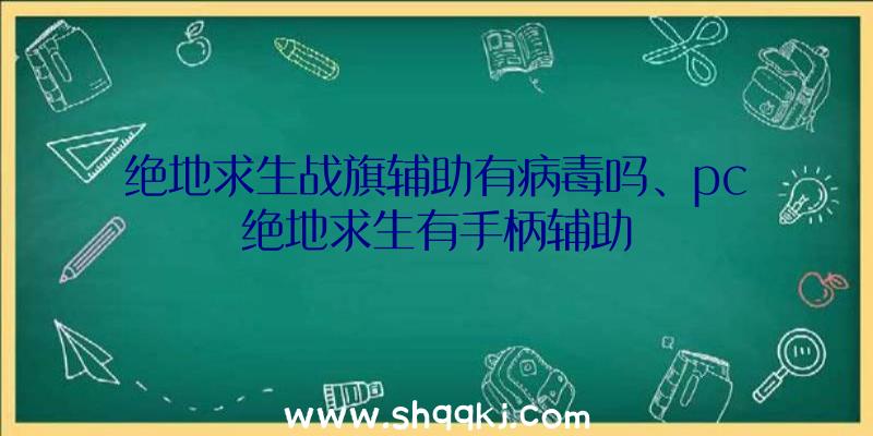 绝地求生战旗辅助有病毒吗、pc绝地求生有手柄辅助