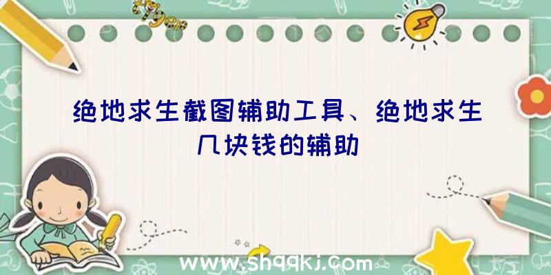 绝地求生截图辅助工具、绝地求生几块钱的辅助