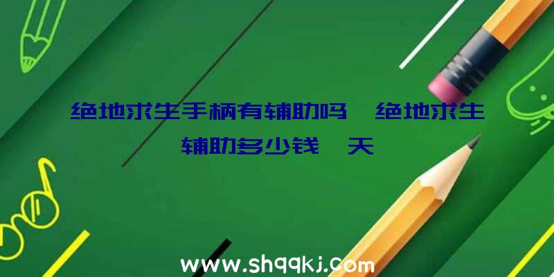 绝地求生手柄有辅助吗、绝地求生辅助多少钱一天