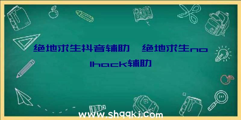 绝地求生抖音辅助、绝地求生nolhack辅助