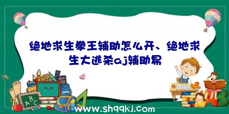 绝地求生拳王辅助怎么开、绝地求生大逃杀aj辅助易