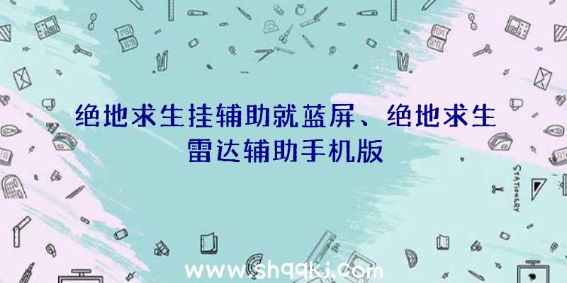 绝地求生挂辅助就蓝屏、绝地求生雷达辅助手机版