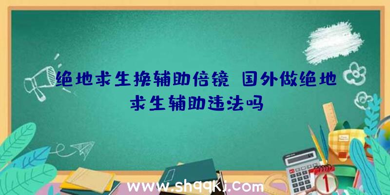 绝地求生换辅助倍镜、国外做绝地求生辅助违法吗