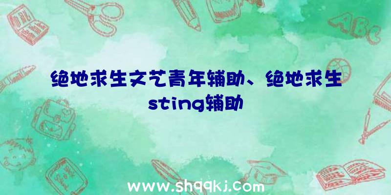 绝地求生文艺青年辅助、绝地求生sting辅助