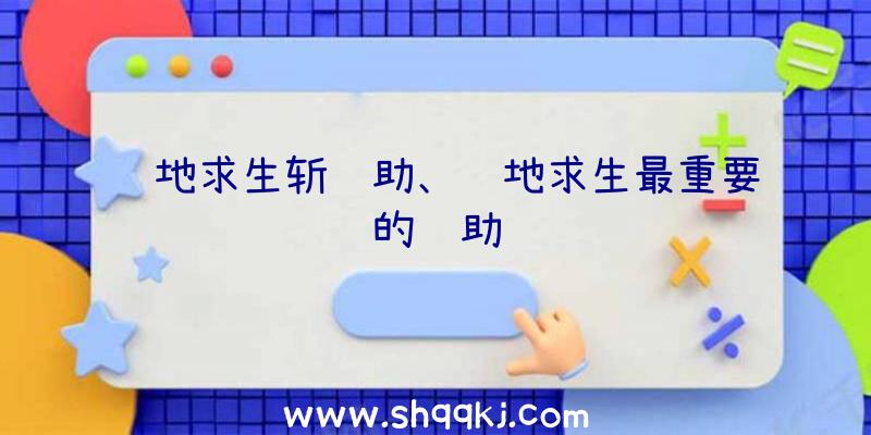 绝地求生斩辅助、绝地求生最重要的辅助