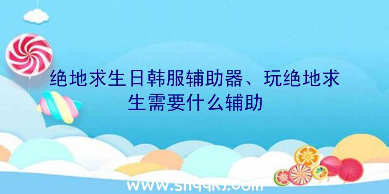 绝地求生日韩服辅助器、玩绝地求生需要什么辅助