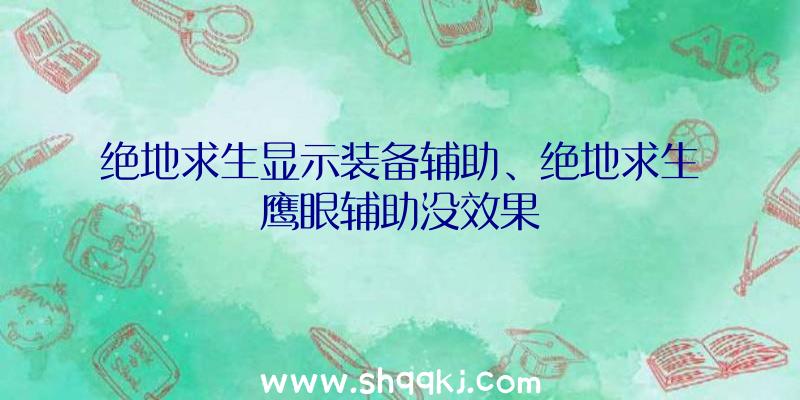 绝地求生显示装备辅助、绝地求生鹰眼辅助没效果