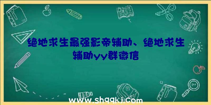 绝地求生最强影帝辅助、绝地求生辅助yy群微信