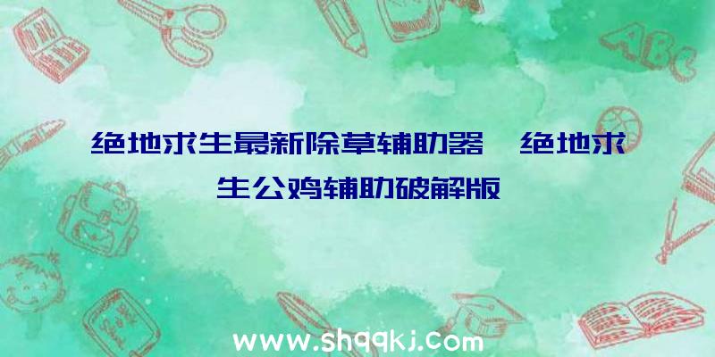 绝地求生最新除草辅助器、绝地求生公鸡辅助破解版