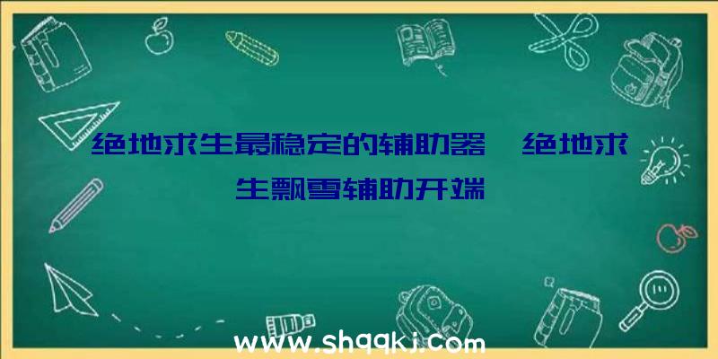 绝地求生最稳定的辅助器、绝地求生飘雪辅助开端