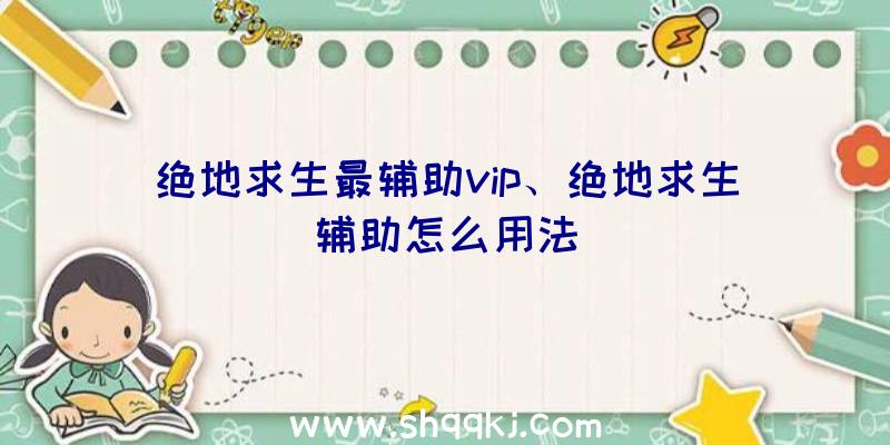 绝地求生最辅助vip、绝地求生辅助怎么用法