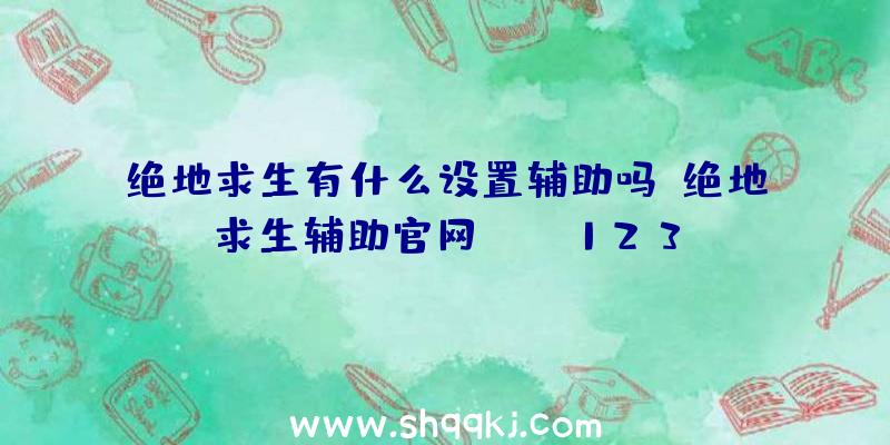 绝地求生有什么设置辅助吗、绝地求生辅助官网pubg123