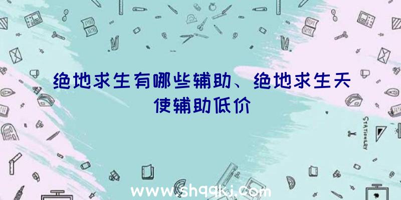 绝地求生有哪些辅助、绝地求生天使辅助低价