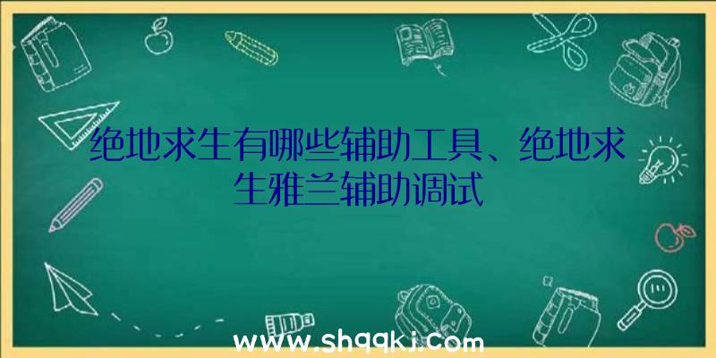 绝地求生有哪些辅助工具、绝地求生雅兰辅助调试