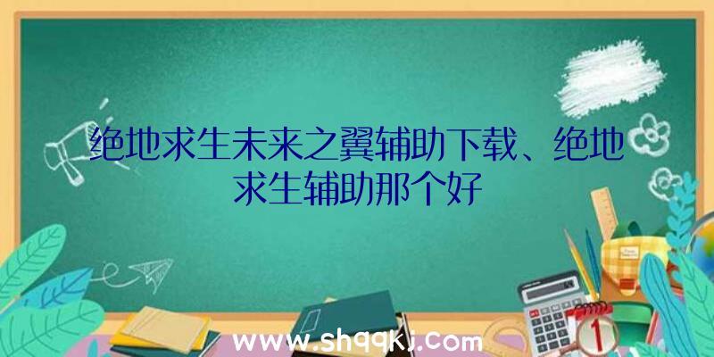 绝地求生未来之翼辅助下载、绝地求生辅助那个好