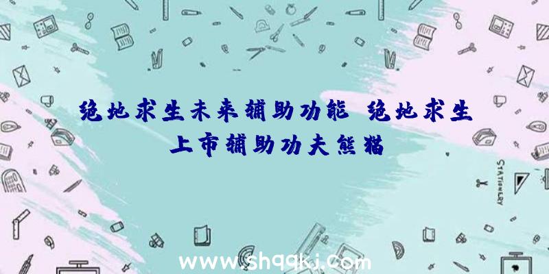 绝地求生未来辅助功能、绝地求生上市辅助功夫熊猫