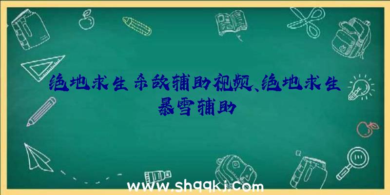 绝地求生杀敌辅助视频、绝地求生暴雪辅助