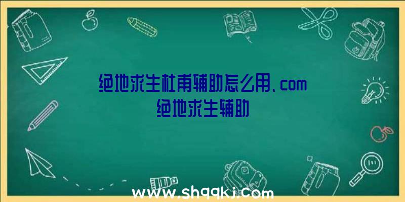 绝地求生杜甫辅助怎么用、com绝地求生辅助