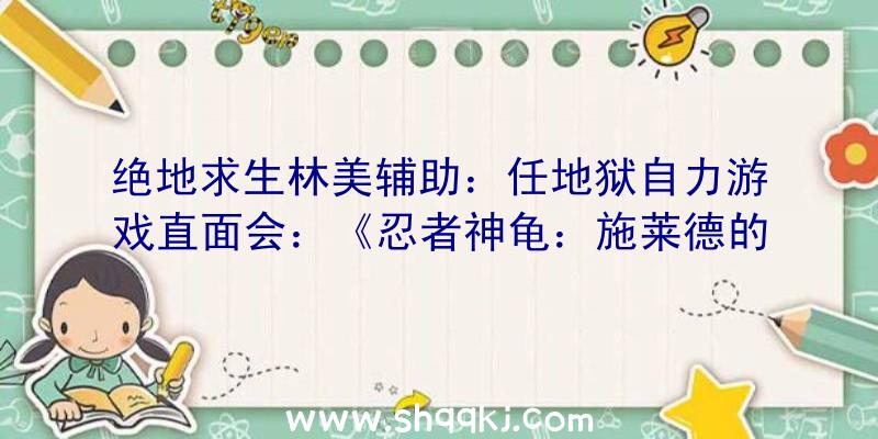 绝地求生林美辅助：任地狱自力游戏直面会：《忍者神龟：施莱德的复仇》行将上岸NS!