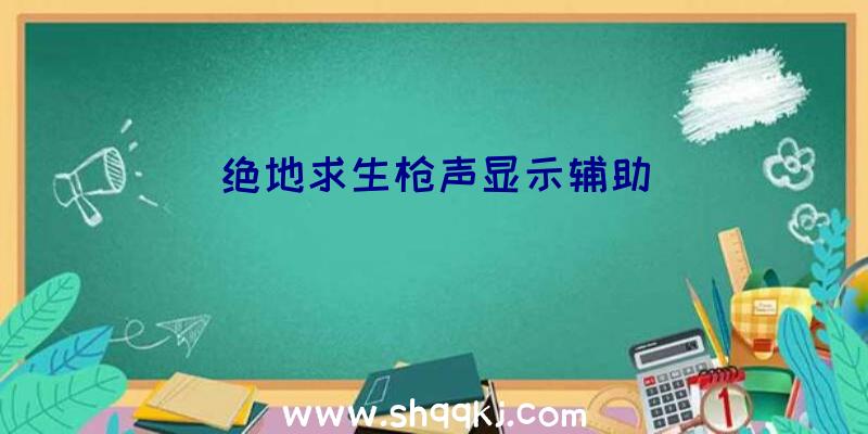 绝地求生枪声显示辅助