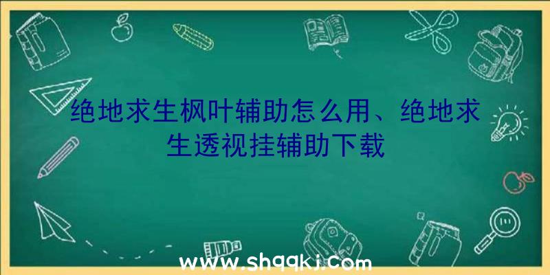 绝地求生枫叶辅助怎么用、绝地求生透视挂辅助下载