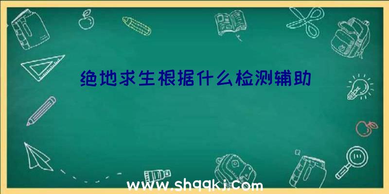 绝地求生根据什么检测辅助