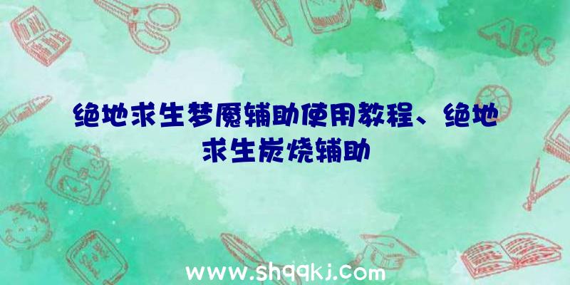 绝地求生梦魇辅助使用教程、绝地求生炭烧辅助