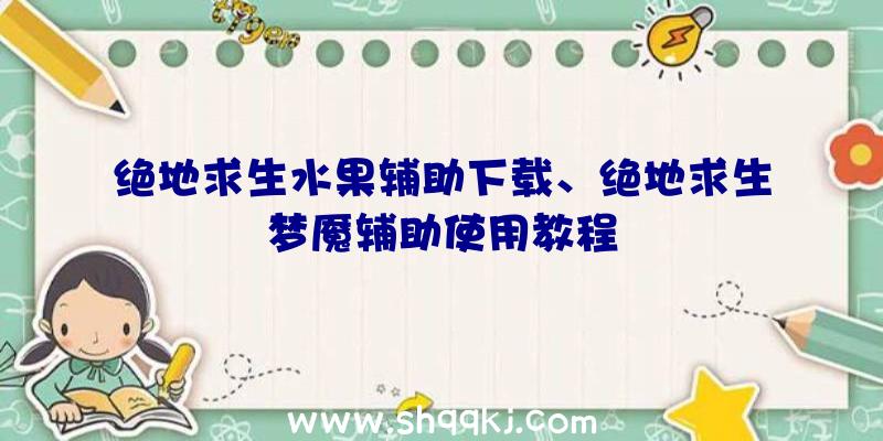 绝地求生水果辅助下载、绝地求生梦魇辅助使用教程