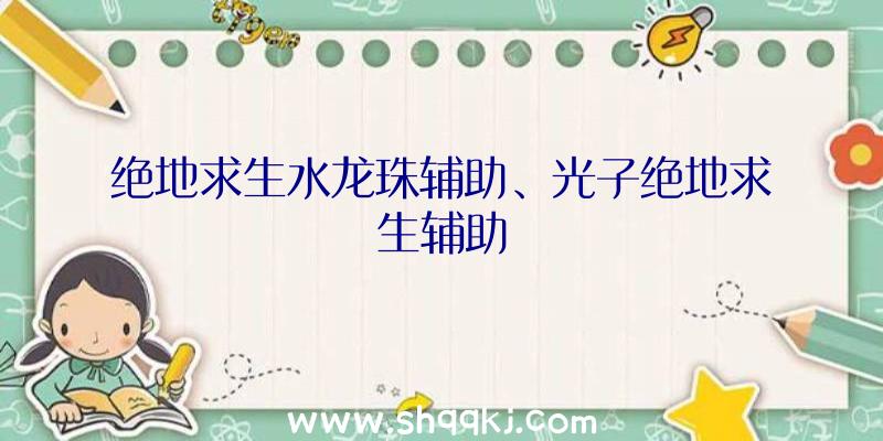 绝地求生水龙珠辅助、光子绝地求生辅助