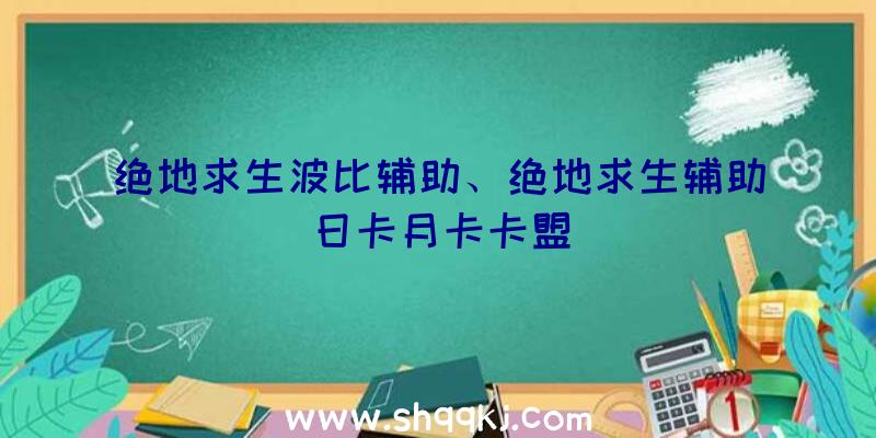 绝地求生波比辅助、绝地求生辅助日卡月卡卡盟