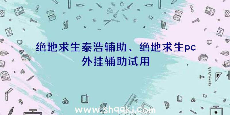 绝地求生泰浩辅助、绝地求生pc外挂辅助试用