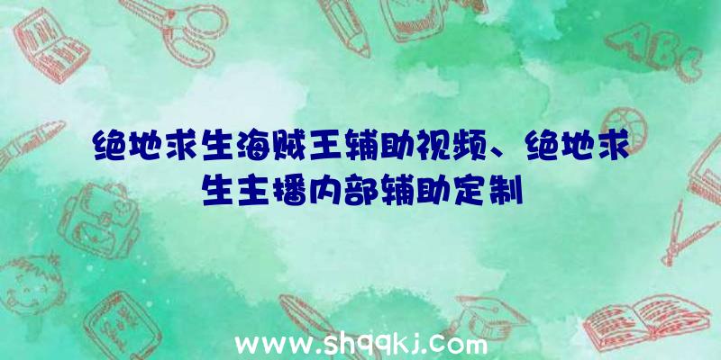 绝地求生海贼王辅助视频、绝地求生主播内部辅助定制