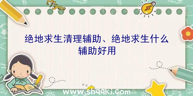 绝地求生清理辅助、绝地求生什么辅助好用