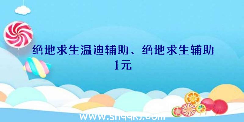 绝地求生温迪辅助、绝地求生辅助1元