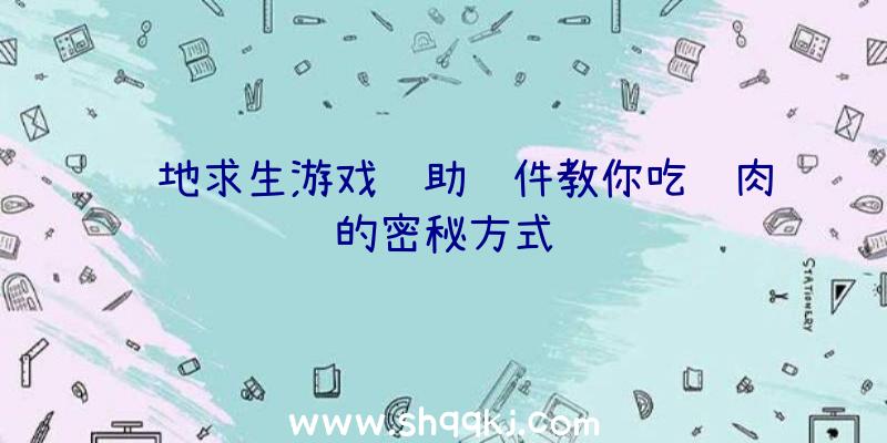 绝地求生游戏辅助软件教你吃鸡肉的密秘方式