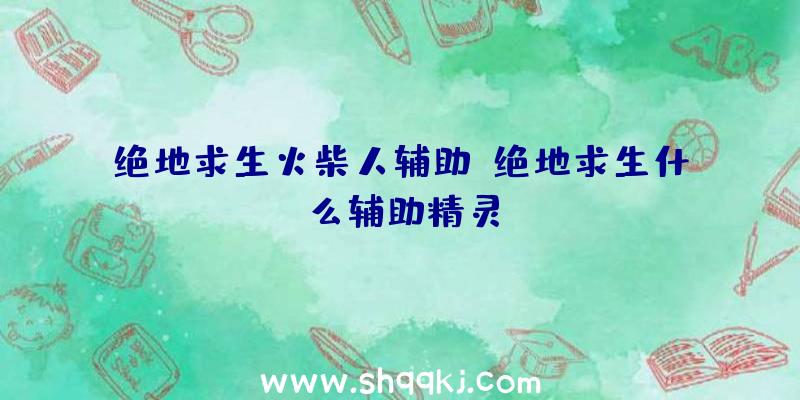 绝地求生火柴人辅助、绝地求生什么辅助精灵