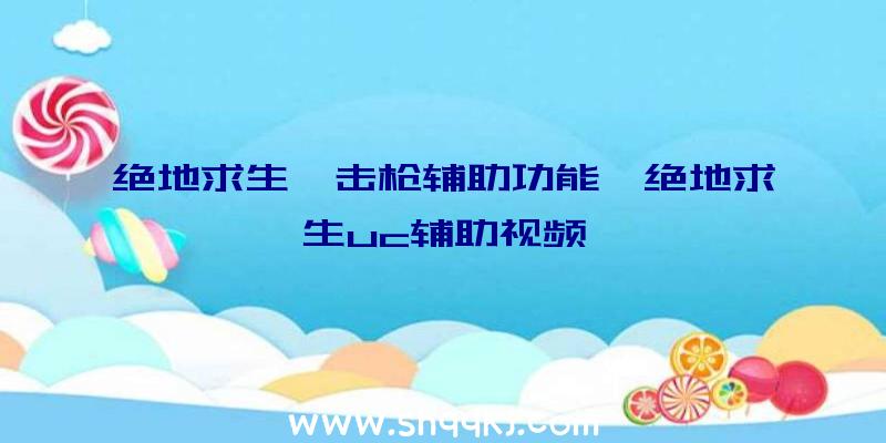 绝地求生狙击枪辅助功能、绝地求生uc辅助视频