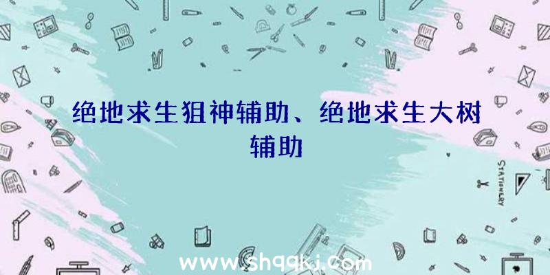 绝地求生狙神辅助、绝地求生大树辅助