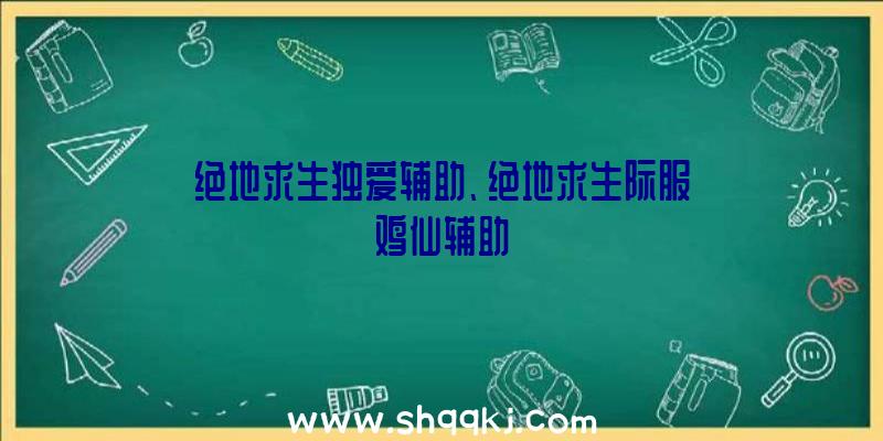 绝地求生独爱辅助、绝地求生际服鸡仙辅助